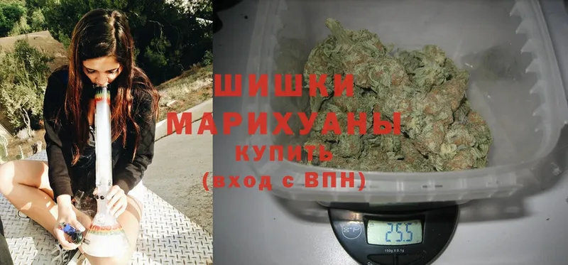 mega рабочий сайт  где купить наркоту  Скопин  Бошки Шишки White Widow 